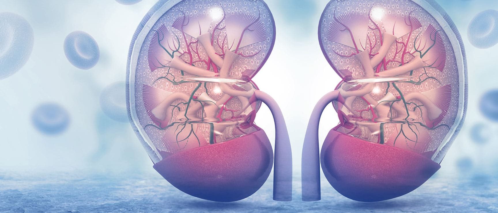 urocran-forte-cisititis-prostatitis-orina-infeccion