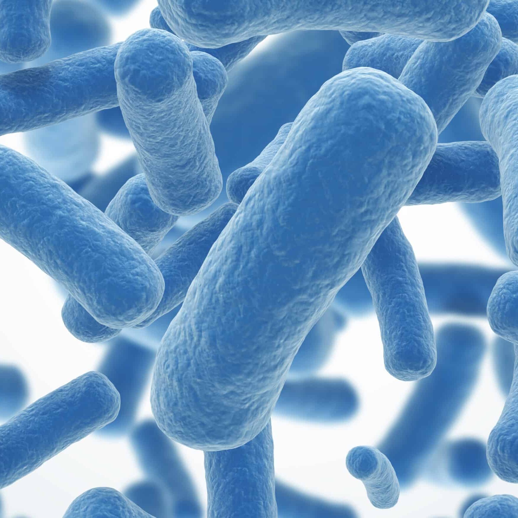 Probióticos: ¿Qué son? 5 motivos para tomarlos 5 bacterias-probióticos