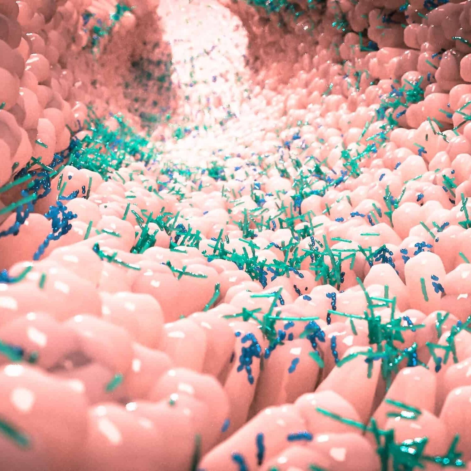 Importancia de la Microbiota Intestinal y los Probióticos en la Salud 4 Importancia de la Microbiota Intestinal y los Probióticos en la Salud 2