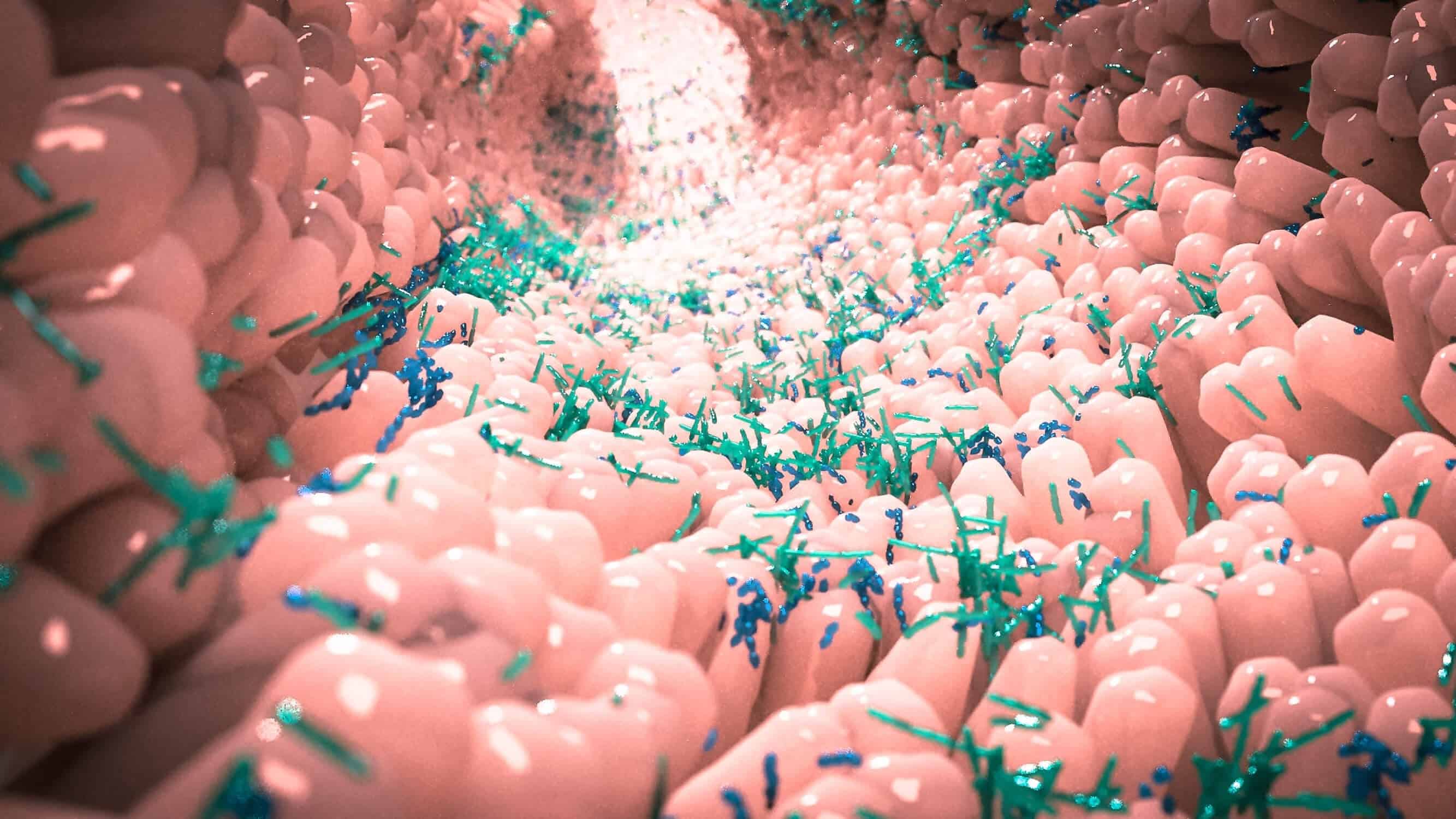 Importancia de la Microbiota Intestinal y los Probióticos en la Salud 1