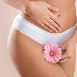 Flora o microbiota vaginal y su función protectora 4