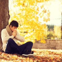 enfermedades-del-otoño