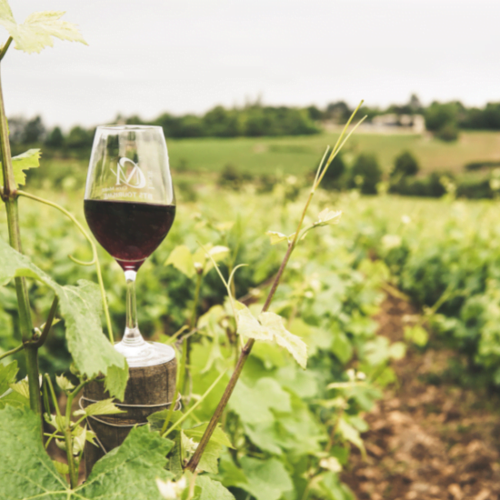 Resveratrol, mejor en dosis bajas y tiempo prolongado 1