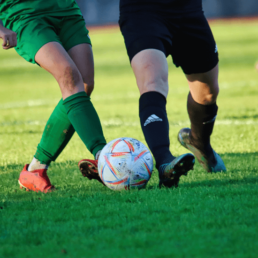 consorci sanitari de Terrassa