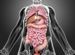 síndrome-intestino-irritable