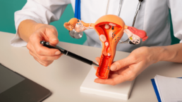 Regeneración vaginal con láser, ¿Qué es? 4 Regeneración vaginal con láser, ¿Qué es? 4