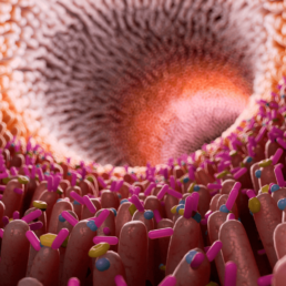 ¿Por qué tomar probióticos durante el tratamiento con antibióticos? 7 ¿Por qué tomar probióticos durante el tratamiento con antibióticos? 7