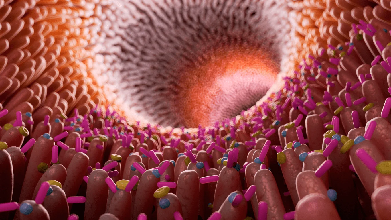 probióticos microbiota
