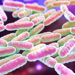 PROBIÓTICOS: TODO LO QUE NECESITAS SABER  8