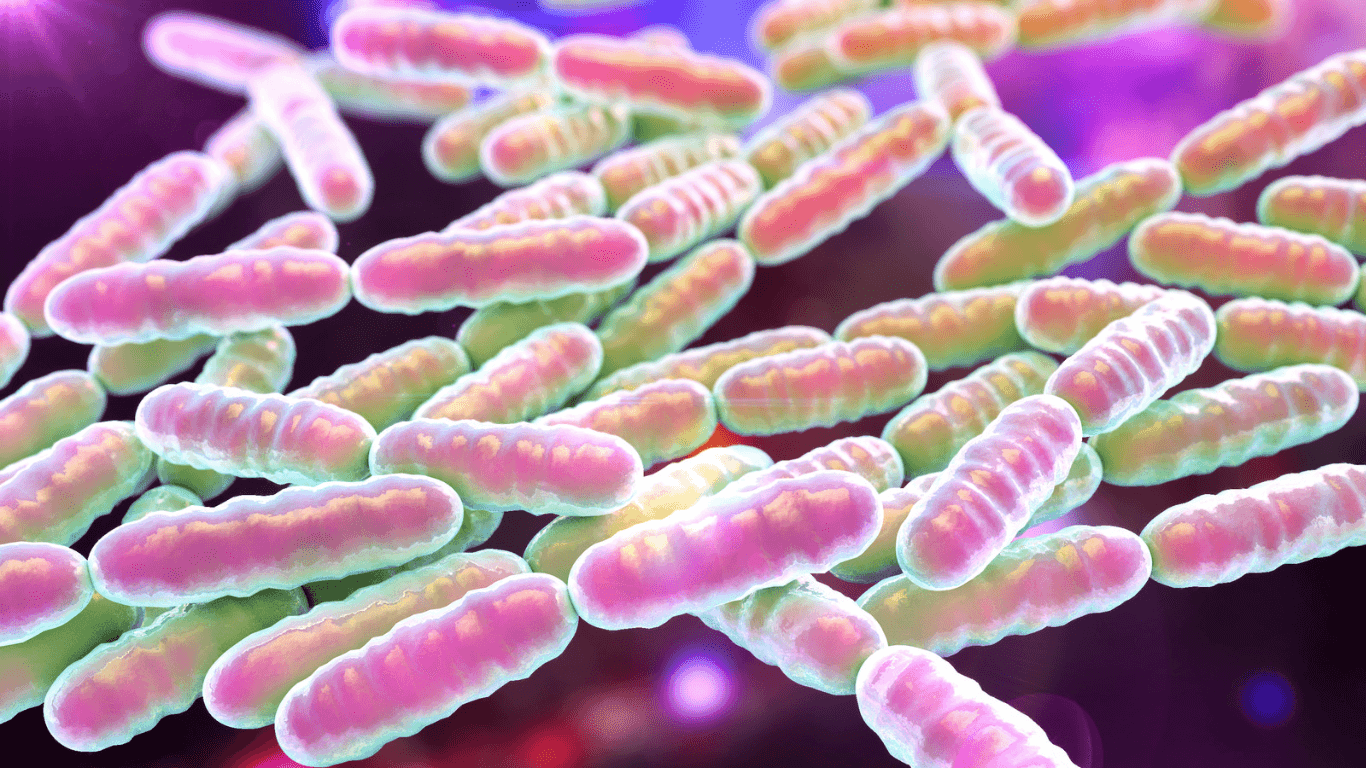 PROBIOTICOS