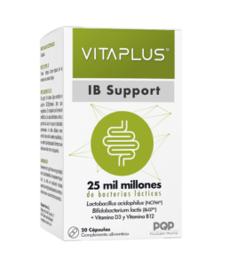 ib support 1
