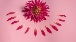 ¿La menstruación afecta a la microbiota vaginal? 10 ¿La menstruación afecta a la microbiota vaginal? 9