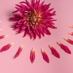 ¿La menstruación afecta a la microbiota vaginal? 7