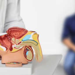 Prostatitis: síntomas, causas, factores de riesgo y consejos 6 Prostatitis: síntomas, causas, factores de riesgo y consejos 5