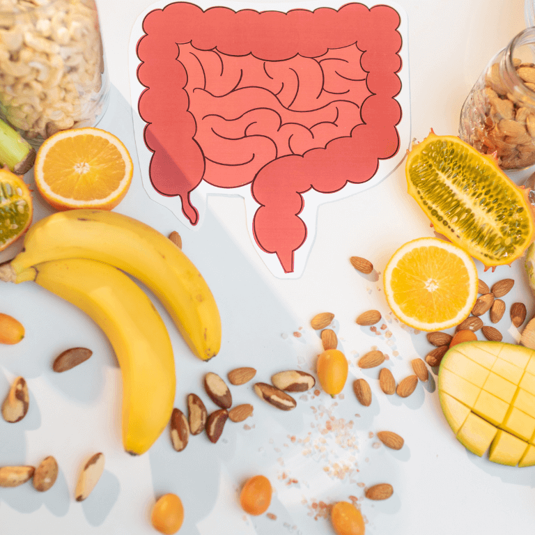 Microbiota intestinal: Todo lo que necesitas saber 6