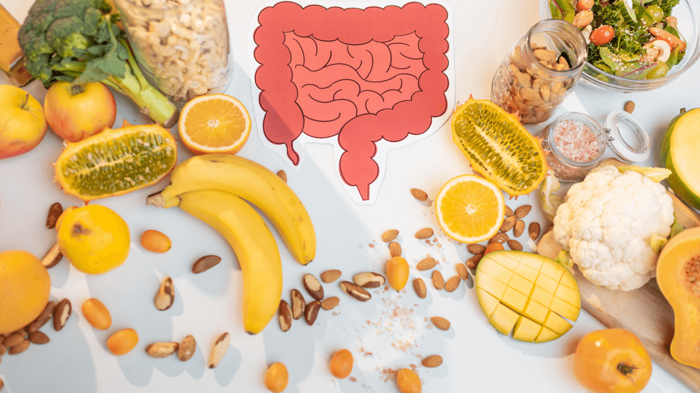 microbiota-intestinal