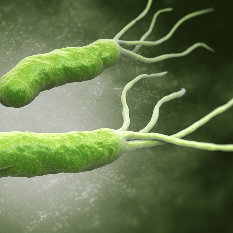 Helicobacter Pylori: Síntomas y Cómo Mejorar tu Salud Digestiva 7 Helicobacter Pylori: Síntomas y Cómo Mejorar tu Salud Digestiva 7